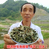 [Дикая трава, трава, сухой] горные фермеры, экспонированные новые товары, складывающие ушные корни сухой houttuynia cordata чай 500g бесплатная доставка