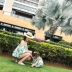 AM Sauce Majia [Gửi đai] Mùa hè In mới Bãi biển Cha mẹ mặc con gái Váy nữ bộ gia đình đi biển Trang phục dành cho cha mẹ và con