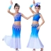 Trang phục khiêu vũ mới Yi nữ trang phục múa chim công nữ váy đuôi cá Đại dân tộc váy biểu diễn - Trang phục Trang phục