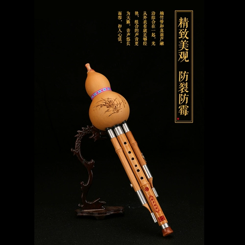 Бесплатная доставка натуральная Zizhu Sanyin Gourd C, Relding B Tun G, F -регулировка, профессиональная производительность, разборка Yunnan музыкальный инструмент