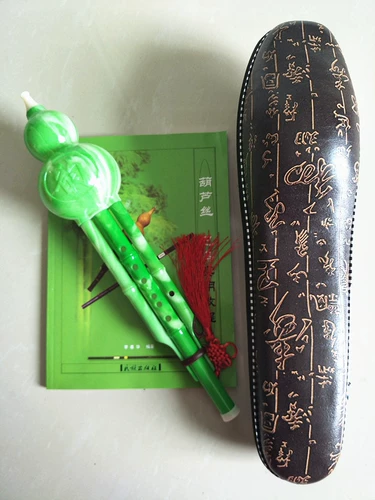 Детские музыкальные инструменты, обучающий набор для школьников для взрослых для начинающих