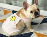 Физиологические брюки для домашних животных, домашние животные мужчины для мента, средняя средняя большие собаки брюки брюки брюки менструальная подделка