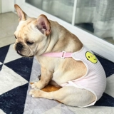 Физиологические брюки для домашних животных, домашние животные мужчины для мента, средняя средняя большие собаки брюки брюки брюки менструальная подделка