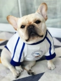 Оригинальная индивидуальная домашняя собака Tata осень и зимняя белая толстовка плюшевая битва Corgi одежда волна волна