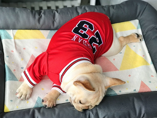 Осенняя футбольная форма, дышащий мяч, домашний питомец