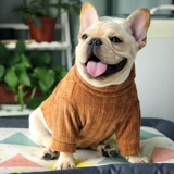 [50 % скидка] Петухолочное образование осень и зимний свитер.