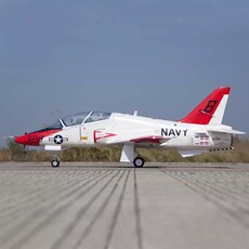 Самолет на дистанционном управление freewing 飞翼