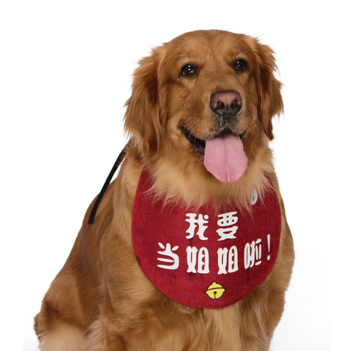 Индивидуальное название Pet Dog Golden Moso Alaska Lion Teddy Triangle Водонепроницаемое водонепроницаемое водонепроницаемое полотенце