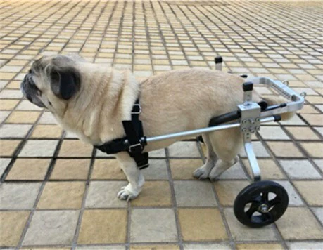 Собачья инвалидная коляска инвалидная коляска инвалида -коляска для собак -скутер парализован