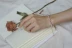 JRNJ ngọc trai tím tự nhiên gói vàng 14K dệt tay tùy chỉnh sinh viên thích hợp vòng tay đơn giản nữ - Vòng đeo tay Clasp