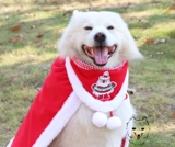 Рождественский плащ ручной работы, шарф, делается под заказ, подходит для подростков