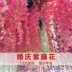 Mô phỏng Hoa Wisteria Hoa cưới Hoa cẩm tú cầu Hoa Sakura Trang trí nội thất Hoa giả Hoa nhựa Hoa Vine trần Trang trí Mây - Hoa nhân tạo / Cây / Trái cây Hoa nhân tạo / Cây / Trái cây
