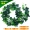 Mô phỏng cây leo trang trí mây giả hoa nho ống hoa nho cây xanh trần cây lá nhựa nhựa lá xanh lá - Hoa nhân tạo / Cây / Trái cây