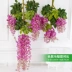 Mô phỏng Hoa Wisteria Hoa cưới Hoa cẩm tú cầu Hoa Sakura Trang trí nội thất Hoa giả Hoa nhựa Hoa Vine trần Trang trí Mây - Hoa nhân tạo / Cây / Trái cây Hoa nhân tạo / Cây / Trái cây