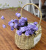 Wicker chậu hoa bình hoa Nho hoa cổ điển vườn hoa chậu hoa giỏ hoa nồi hoa sắp xếp mẫu bình cắm hoa đẹp Vase / Bồn hoa & Kệ