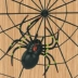 Đạo cụ Halloween Lễ hội ma Bar KTV Cảnh trang trí Mô phỏng Nhựa Đen Spider Web Mặt dây chuyền Phụ kiện - Sản phẩm Đảng / Magic / Hiệu suất Sản phẩm Đảng / Magic / Hiệu suất