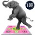 Dance champion kim loại máy nhảy nhà nhảy không dây chăn máy tính TV đơn dual-sử dụng trẻ em khiêu vũ máy nhảy audition Dance pad