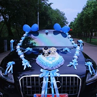 Синяя пара нести