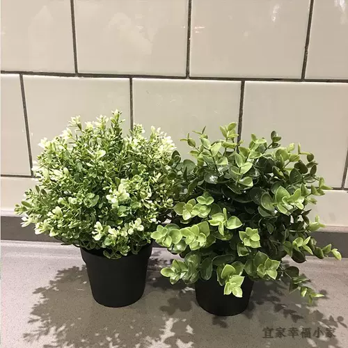 Ikea Ikea Домашние покупки FICCA -приготовление горшечного растения Декоративное симуляция цветочные и растения для спальни окна подоконника Зеленые растения