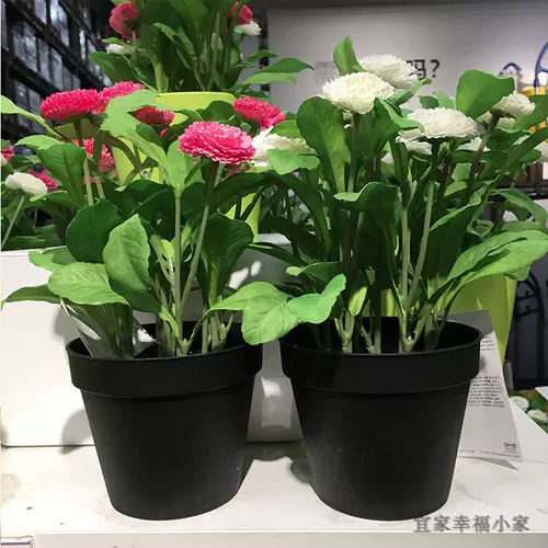 Ikea Ikea Домашние покупки FICCA -приготовление горшечного растения Декоративное симуляция цветочные и растения для спальни окна подоконника Зеленые растения