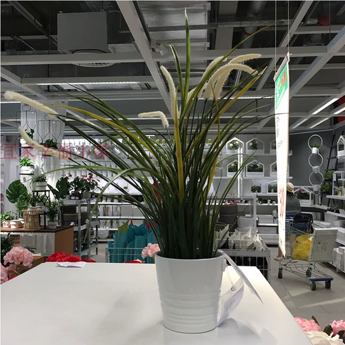 Ikea Ikea Домашние покупки FICCA -приготовление горшечного растения Декоративное симуляция цветочные и растения для спальни окна подоконника Зеленые растения