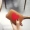 Lớp thẻ da organ đầu tiên của Hàn Quốc Phụ nữ thích màu da phù hợp với gói thẻ nhỏ Gói thẻ tín dụng đa thẻ ví nam pedro