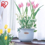 Ali Iris Сена, имитирующая керамический средний цветочный горшок пластиковый цветочный горшок, бассейн защита окружающей среды 5-12