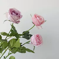 Острый ощущение увлажняющего розового симуляции цветок шелк цветок дома поддельный цветок декоративный гостиный обеденный стол