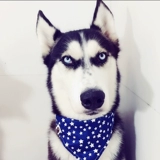 Хлопковый слюнявчик, шарф, подходит для подростков