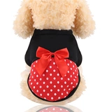 Толстовка, демисезонная удерживающая тепло футболка, популярно в интернете