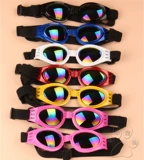 Ветрозащитные модные неоновые солнцезащитные очки, аксессуар