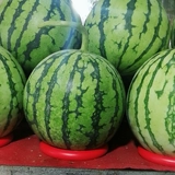 Пластиковый гимнастический круглый мяч для детского сада, колечки, фиксаторы в комплекте