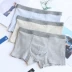 Quần lót cotton ba mảnh thân thiện và thoải mái với quần lót nam quần boxer quần Nhật Bản quần sọc quần quần thoáng khí - Cặp đôi Cặp đôi