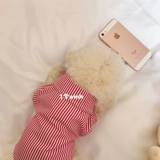 Рубашка с собакой с полосатой добычи, чтобы медведь Skunari VIP Permanent Teddy FA Dou Dout Small Dog Pet Card