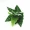 Mục vụ mô phỏng cây xanh trồng trong chậu sắp xếp hoa lá cây tường cửa nền vật liệu trang trí tường đơn lá xanh - Hoa nhân tạo / Cây / Trái cây