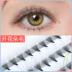 Ghép lông mi tóc trồng lông mi giả cụm duy nhất camellia làn da tự nhiên curling giả nước bờm mi giả gân trong Lông mi giả