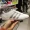 Giày nữ Adidas NEO 2019 mùa thu mới cắt thấp thoáng khí nhẹ mang giày thể thao và giải trí EF1044 - Dép / giày thường
