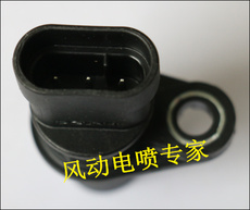 Блестящий золото морской лев