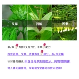 Япония Огромные яичные клещи -прибавривающие клещи -mit