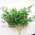 Lá đơn lá ô liu lá cây bạch đàn lá phong lá cây saponin mô phỏng cây lá xanh - Hoa nhân tạo / Cây / Trái cây hoa lan giả cao cấp Hoa nhân tạo / Cây / Trái cây
