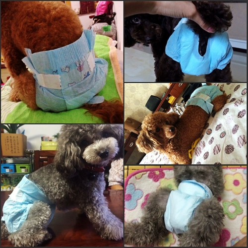 Физиологичные штаны, гигиеническая прокладка, безопасное нижнее белье