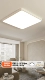 Horchoe Fiber White 70*70 Регулируемые три -color 96W