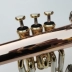 Quảng cáo trung thực nhập khẩu Hoa Kỳ Baha Fuluge nhạc cụ phốt pho đồng chuông miệng bề mặt điện di vàng - Nhạc cụ phương Tây