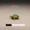 Mô hình vi mô hình bò sát mini rùa vẽ rùa rùa ngoạm rùa khổng lồ rùa xạ hương rùa trang trí nhỏ - Đồ chơi gia đình