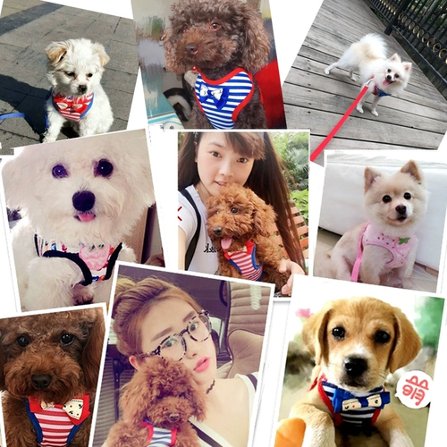 Веревочный жилет с собакой, собака, ходящая собака веревка для собак воротнич