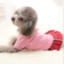 Quần áo màu đỏ cho chó - Quần áo & phụ kiện thú cưng