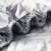 Tùy chỉnh dày bông bông giường, bông Simmons nệm bìa 1.8 m cộng với bông nệm đơn bìa Ga phủ giường Trang bị Covers