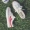 Giày vải Fcs nữ 2018 mới mùa hè sinh viên hoang dã Phiên bản Hàn Quốc của ulzzang đế phẳng đáy giày giải trí cổng gió giầy thể thao nữ màu trắng
