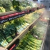 Nhà hàng nhỏ lẩu thương mại siêu âm máy tạo độ ẩm siêu thị tự phục vụ trái cây và rau quả giữ ẩm phun tươi - Máy giữ ẩm máy tạo độ ẩm công nghiệp Máy giữ ẩm