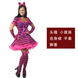 Alice Roolswalking Wonderland Stage Drama Сексуальная кошачья юбка Alice Cat Cat Girl Cat Cat Chai Count